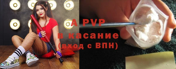 PSILOCYBIN Белоозёрский