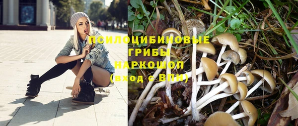PSILOCYBIN Белоозёрский